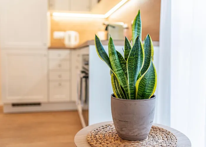 Cosy Inner Getaway Bestern Apartment *