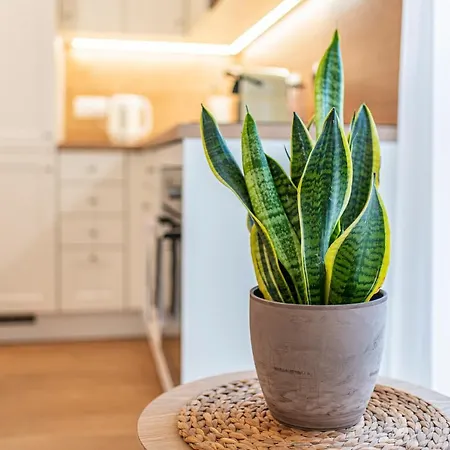 Cosy Inner Getaway Bestern Apartament *